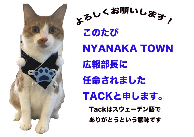 広報部長に任命されましたTACKです!
